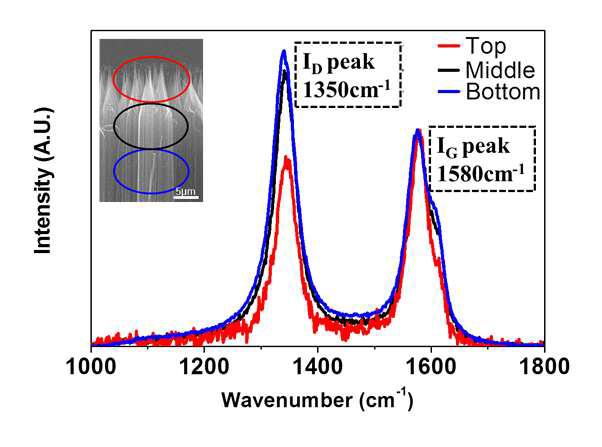 plasma treatment를 거친 CNT의 상단, 중단, 하단 영역 을 각각 측정한 라만 그래프