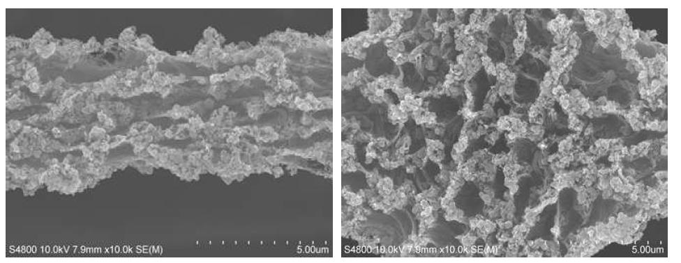 H2 plasma treatment 전의 완전히 제거되지 않은 잔류 금속 촉매의 SEM 이미지 확대 이미지