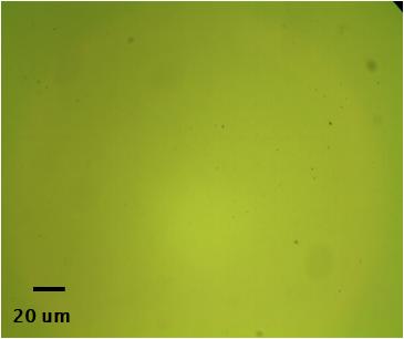 단결정 니켈막 위에 성장된 그래핀의 광학현미경 사진