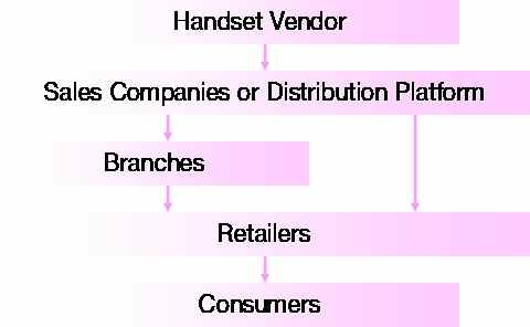 The Directly Controlled Distribution Network Model