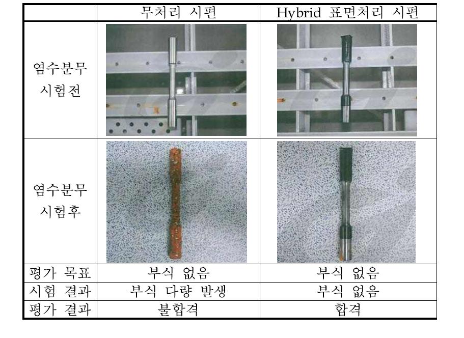 내염수 분무 시험 결과