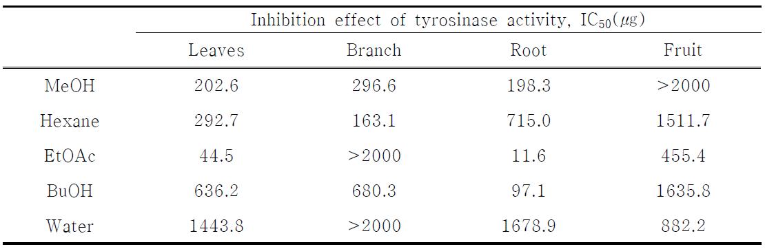 뽕나무의 분획에 따른 tyrosinase 활성 억제 효과