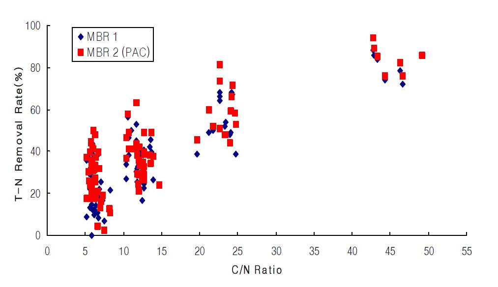 C/N비에 따른 총질소의 제거율