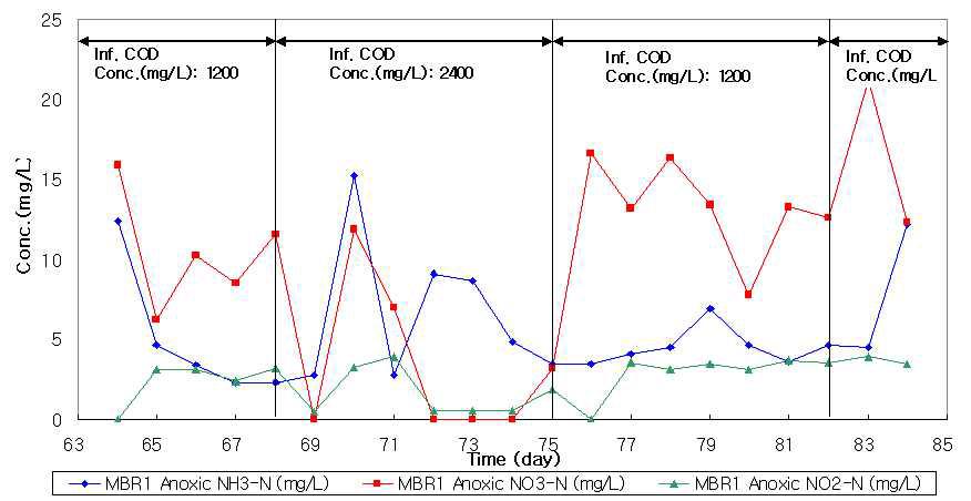 유입 COD농도에 따른 MBR1 무산소조에서의 질소변화