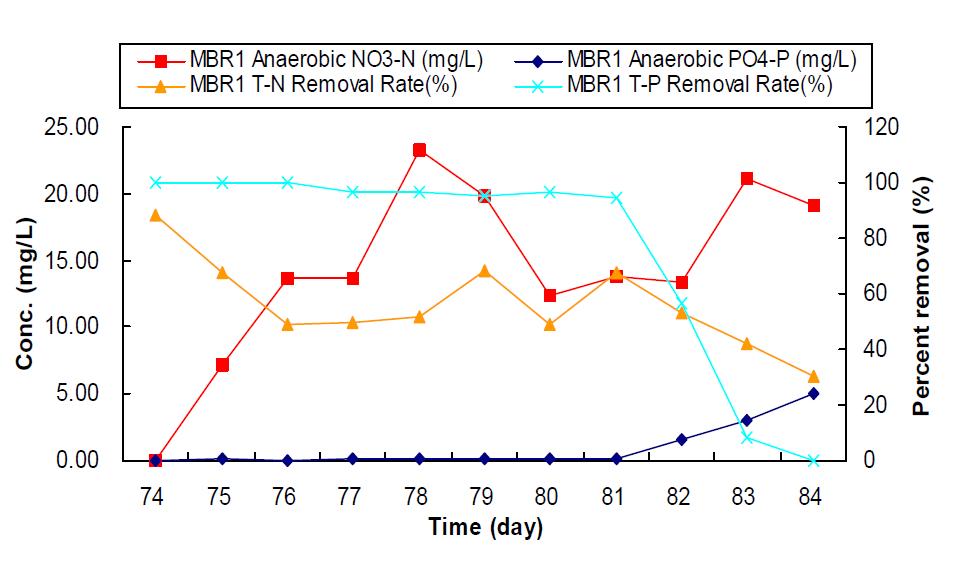 MBR1 혐기조의 질산성질소의 증가에 따른 PO -P농도와 T-N, T-P제거율
