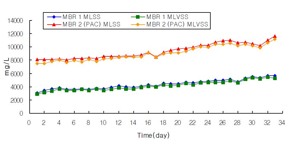 페놀 100mg/L의 농도로 주입시 MLSS의 농도변화