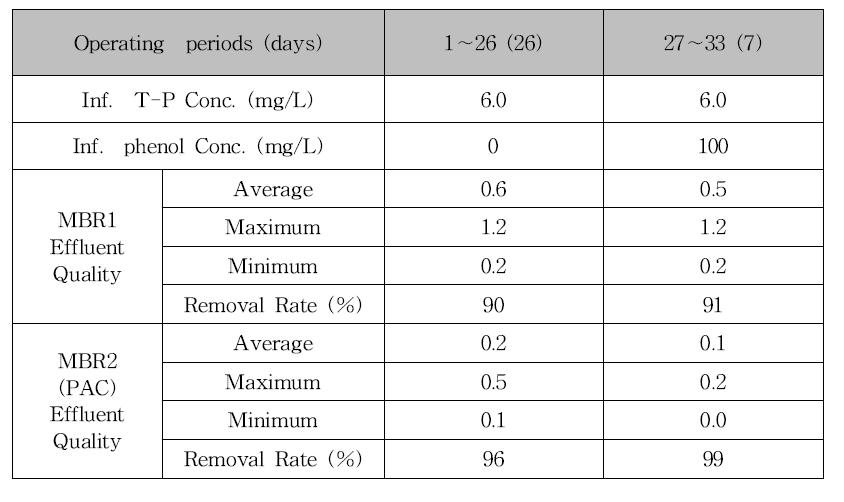 페놀 100mg/L로 주입하여 운전시 T-P 유출수 농도 및 제거율