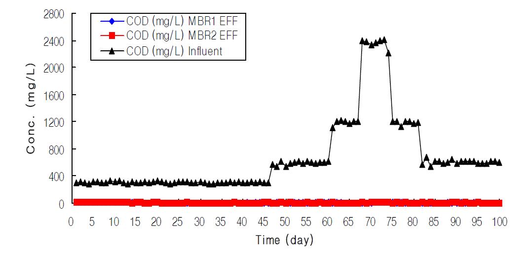 유입수의 유기물 농도에 따른 유출수질변화