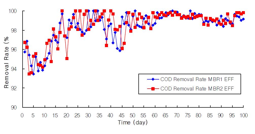 유기물 농도에 따른 제거 효율