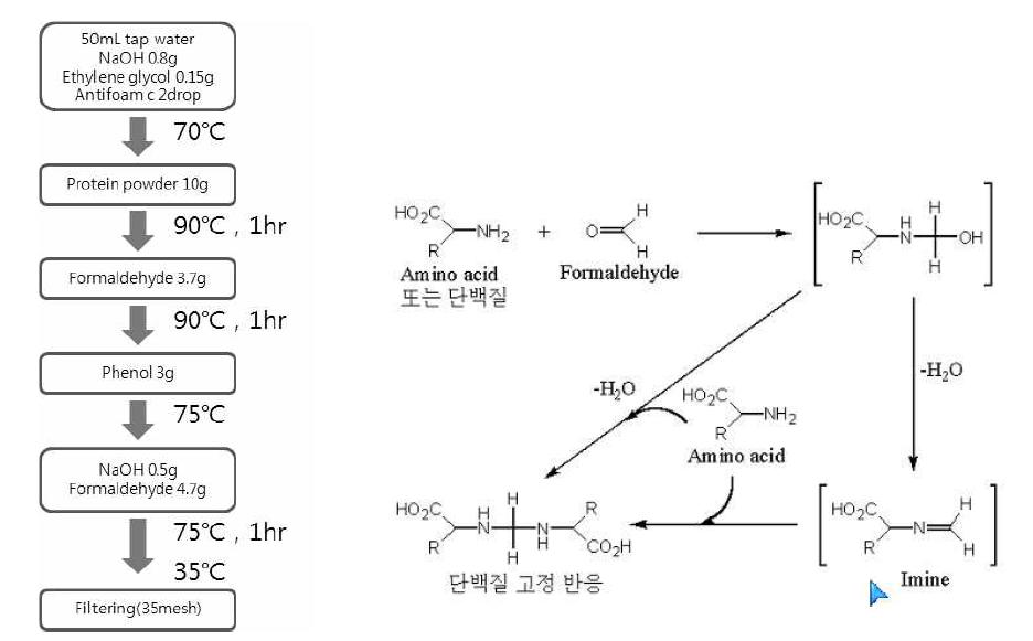 Protein-PF접착제의 제조방법 및 메틸렌가교 반응.