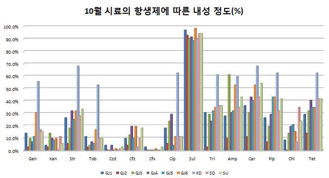 그림 4.10 10월 시료의 항생제에 따른 내성 정도