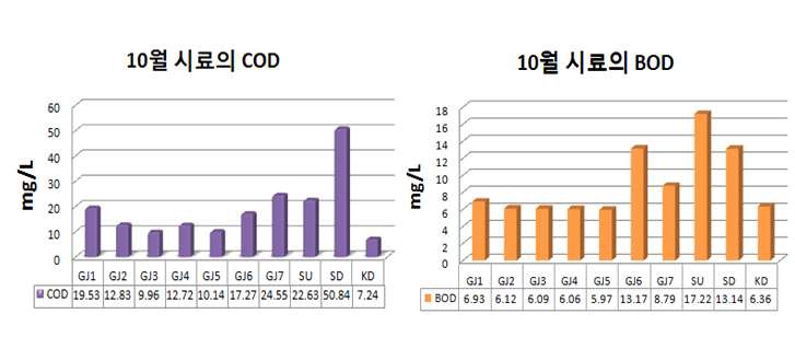 그림 4.12 10월 시료의 COD 값과 BOD 값
