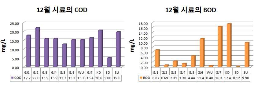 그림 4.17 12월 시료의 COD 값과 BOD 값