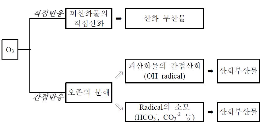 오존의 반응 mechanism
