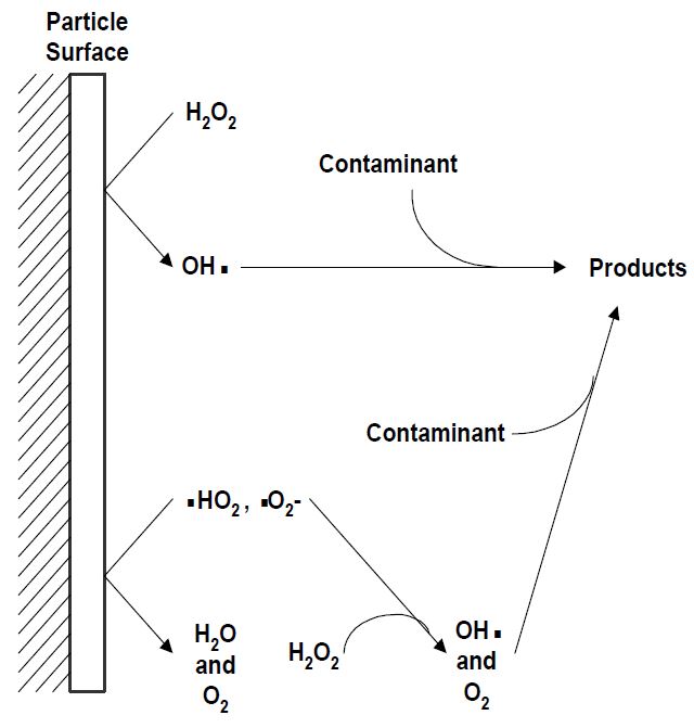 그림 1-1. Mineral-catalyzed Fenton reaction 모식도