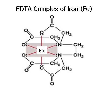 그림 1-3. EDTA-Fe complex 구조