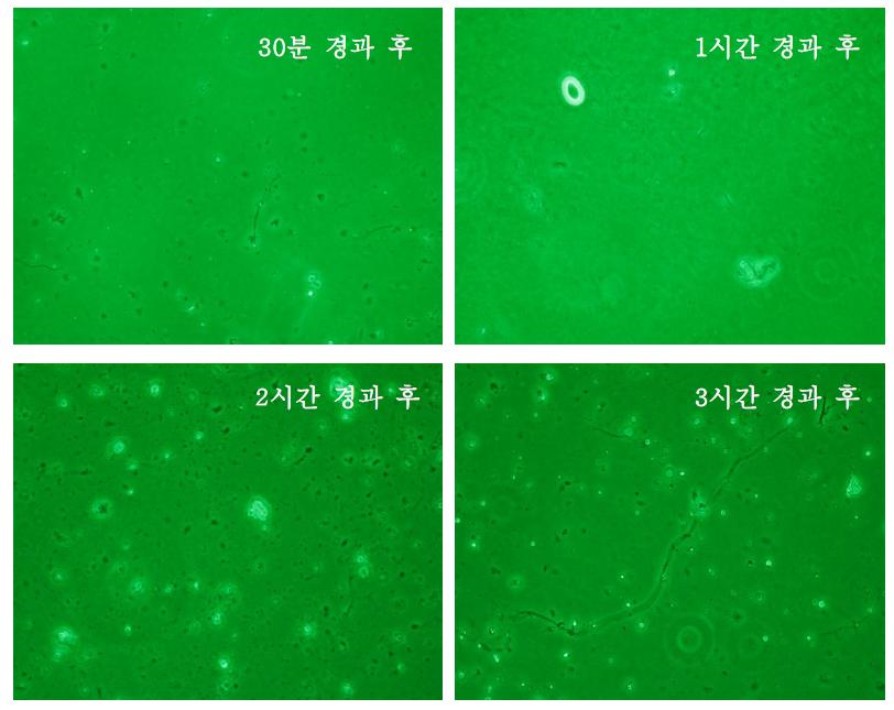 슬레이트 판으로부터 비산된 석면에 대한 위상차현미경관찰