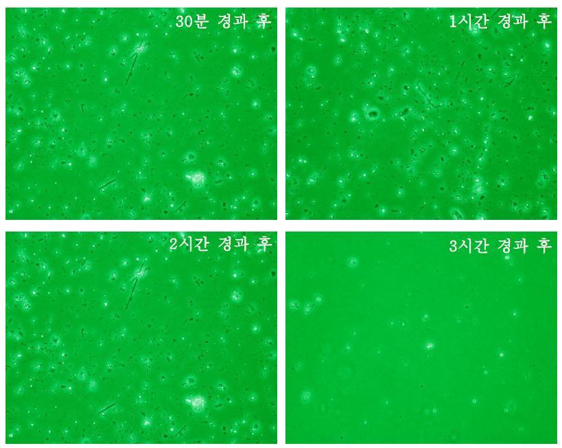 천장재 조각으로부터 비산된 석면에 대한 위상차현미경관찰