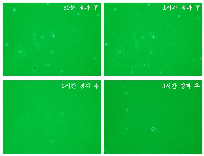 천장재 판으로부터 비산된 석면에 대한 위상차현미경관찰