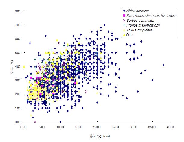 그림 4. 구상나무림 조사구 주요 우점종의 흉고와 수고 분포