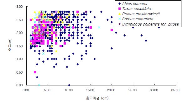 그림 6. 구상나무림 조사구 내 관목층 중요도 상위 5종의 흉고 및 수고 분포
