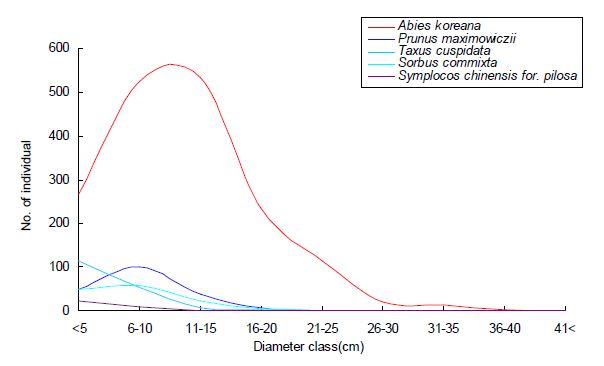그림 7. 구상나무림 조사구 내 주요 우점종 5종의 흉고 직경급 분포