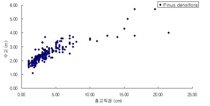 그림 11. 한라산 사제비동산 지역 소나무림의 흉고직경과 수고에 따른 분포