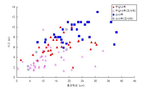 그림 15. 사제비동산 조사지역 소나무와 구상나무의 흉고 및 수고 분포.