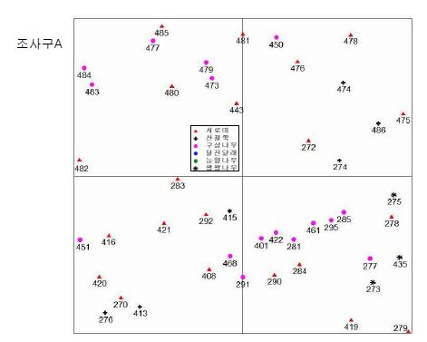 그림 31. 조사구 내 종 분포도