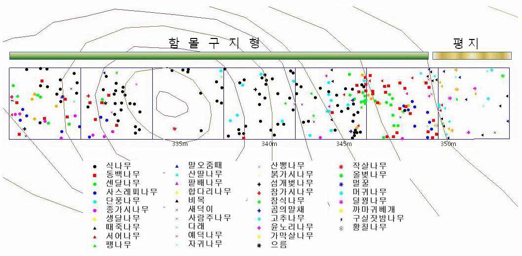 그림 36. 함몰구 조사지역 수목 분포도