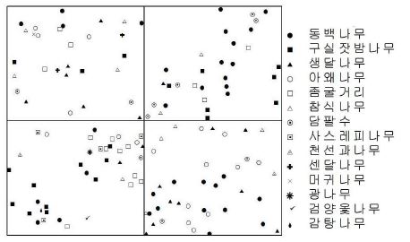 그림 42. 섶섬 주요 수종의 공간분포