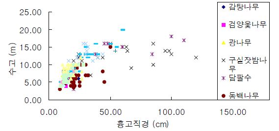 그림 43. 섶섬 지역 주요 수종의 흉고와 수고에 따른 분포.