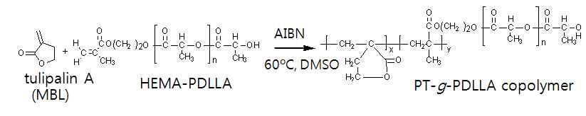 PT-g-PDLLA 합성