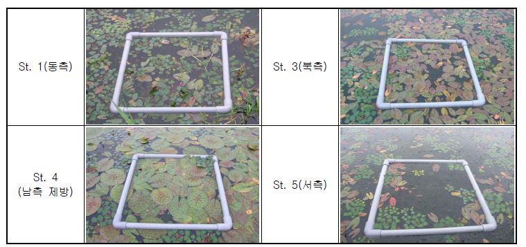 (그림 3.2 - 8) 가시연꽃 피복도 조사지점 및 현황사진
