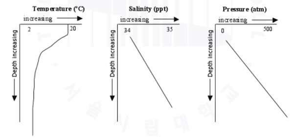 수심에 따른 온도와 염도, 압력의 변화양상