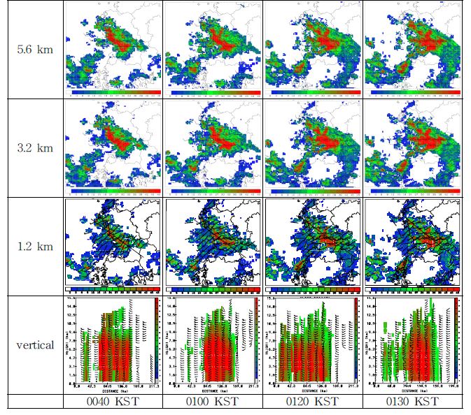 Fig. 4.3.6. The evolution of the mesoscale convective system during its mature stage