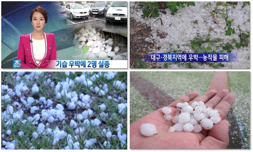 Fig. 3.2.5. News reports of the Daegu Hail.