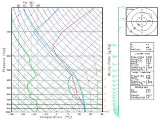 Fig. 4.3.3. The example sounding that is extracted from forecast field of UM-12km regional model in operation at KMA.