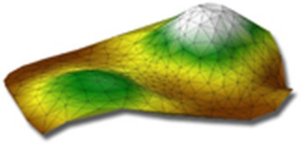 Fig. 4.4.4. Representation of the terrain by a triangulated irregular network