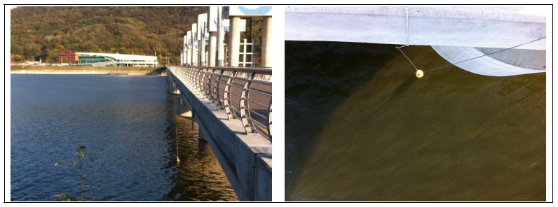 Fig. 3.4.3. Water temperature measurement at Chilgok Weir during intensive observation period.