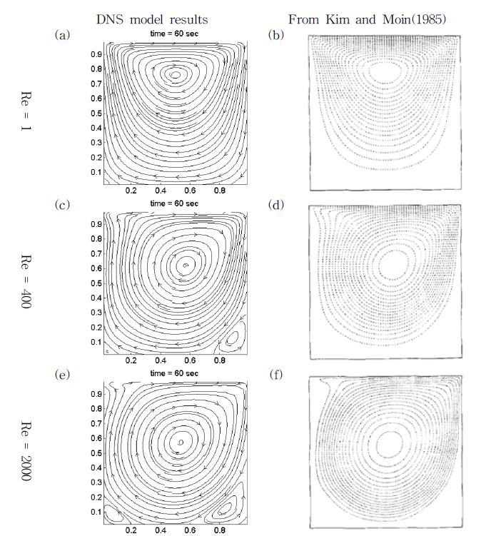 Fig. 2.3.1. Streamlines in a cavity with varying Reynolds number from developed DNS model and Kim and Moin (1985).