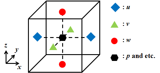 Fig. 2.2.1. Stagged grid and positions where variables are declared.