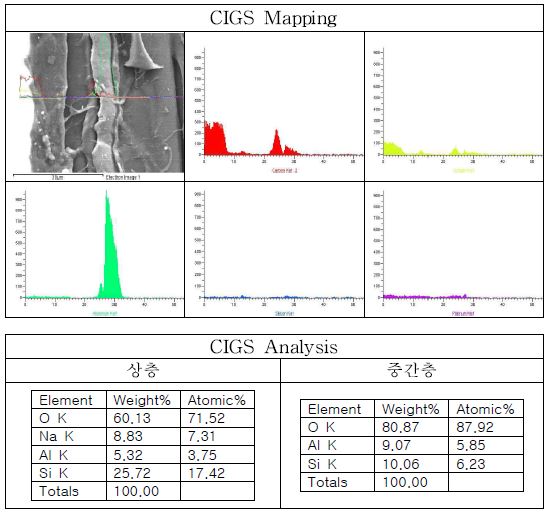 CIGS Mapping 그래프와 분석 결과