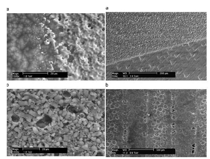 FE-SEM image of the silicon wafer