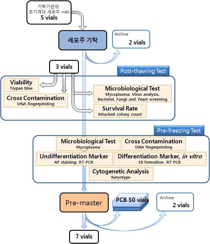 Pre-master cell bank에서 특성분석 내용과 동결 vial 개수