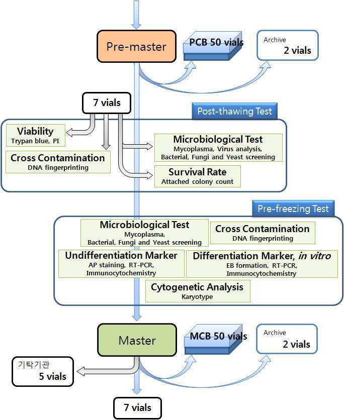 Master Cell Bank에서 특성분석 내용과 동결 vial 개수