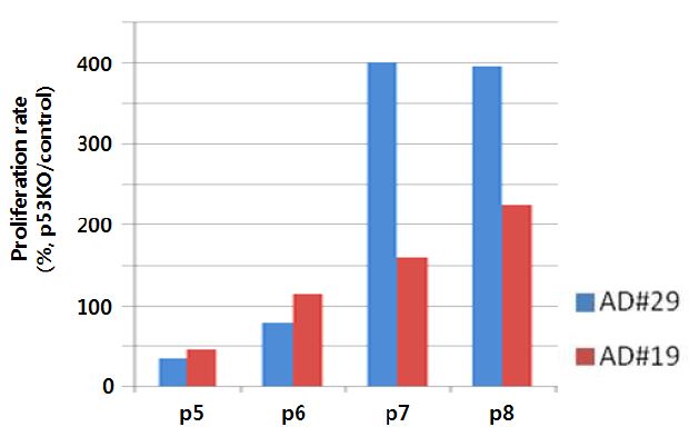 그림. AD-MSC(#19, #29)에 p53 knockout ZFN construct를 transfection한 후 계대배양에 따른 cell proliferation rate 변화