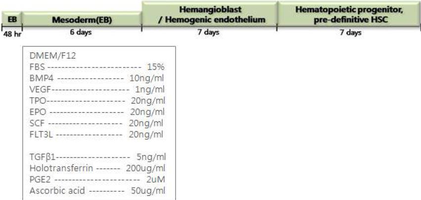 그림. 배아줄기세포의 조혈줄기세포 분화법 모식도