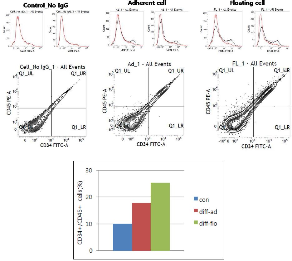 그림. 미분화(con) 및 최적화된 #1 protocol에 의한 분화유도 후 부착세포(diff-ad) 및 부유세포(diff-flo)에서 hematopoietic progenitor population(CD34+/CD45+) FACS 분석