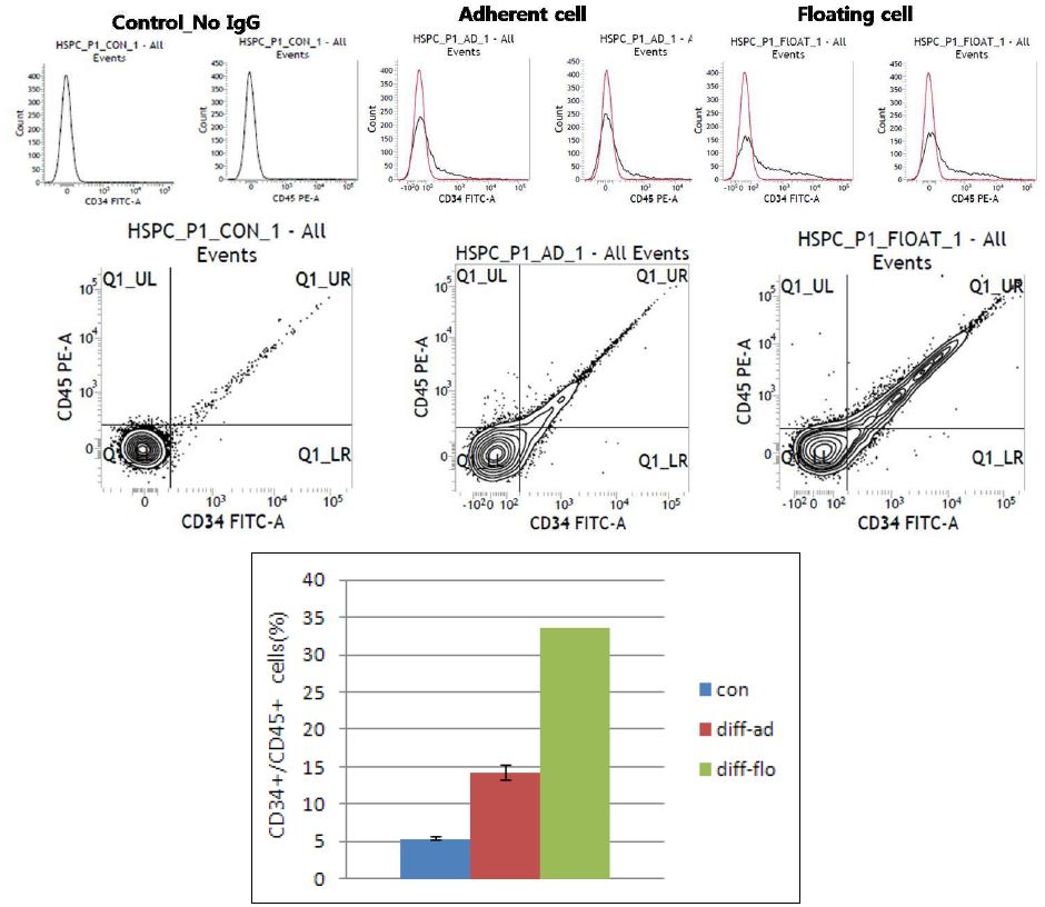 그림. 미분화(con) 및 최적화된 #1 protocol에 의한 분화유도 후 부착세포(diff-ad) 및 부유세포(diff-flo)에서 hematopoietic progenitor population(CD34+/CD45+) FACS 분석